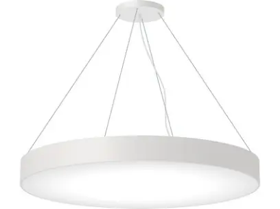 222282_PIC_ZAVES BIELY